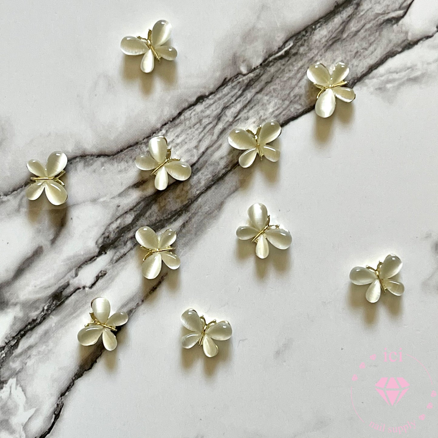 Gold-Stone Butterfly