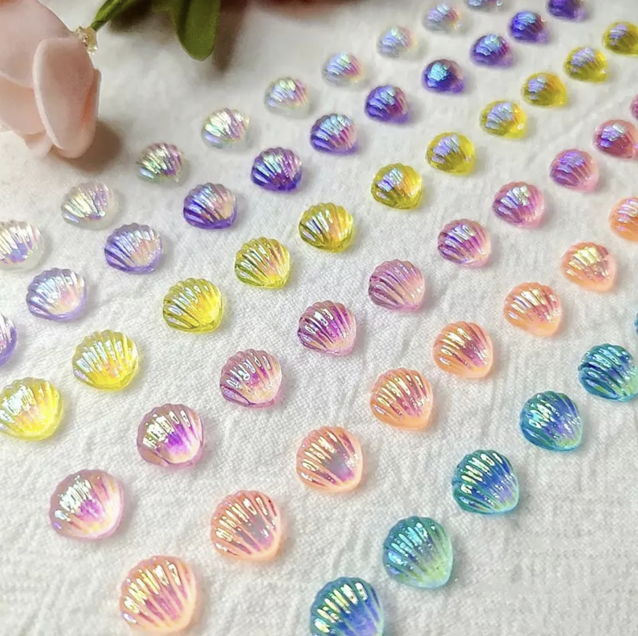 Aurora Seashells