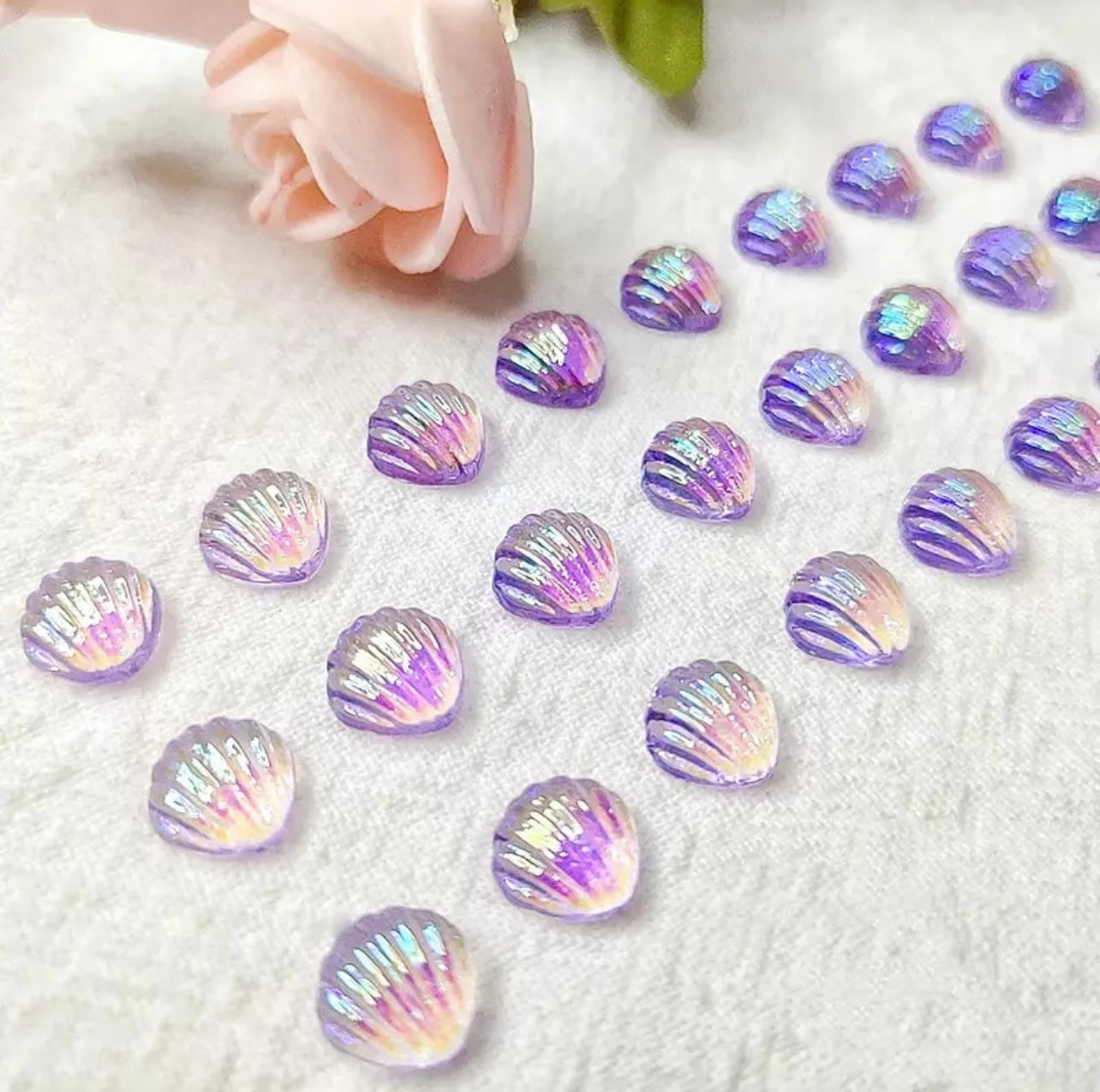 Aurora Seashells
