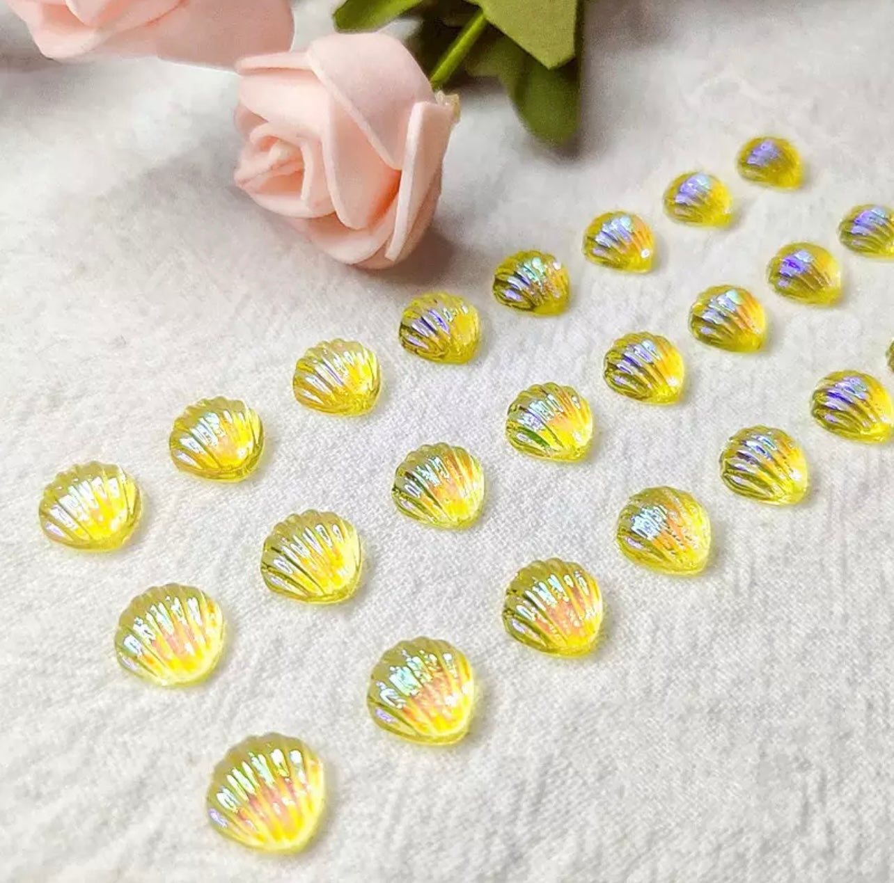 Aurora Seashells