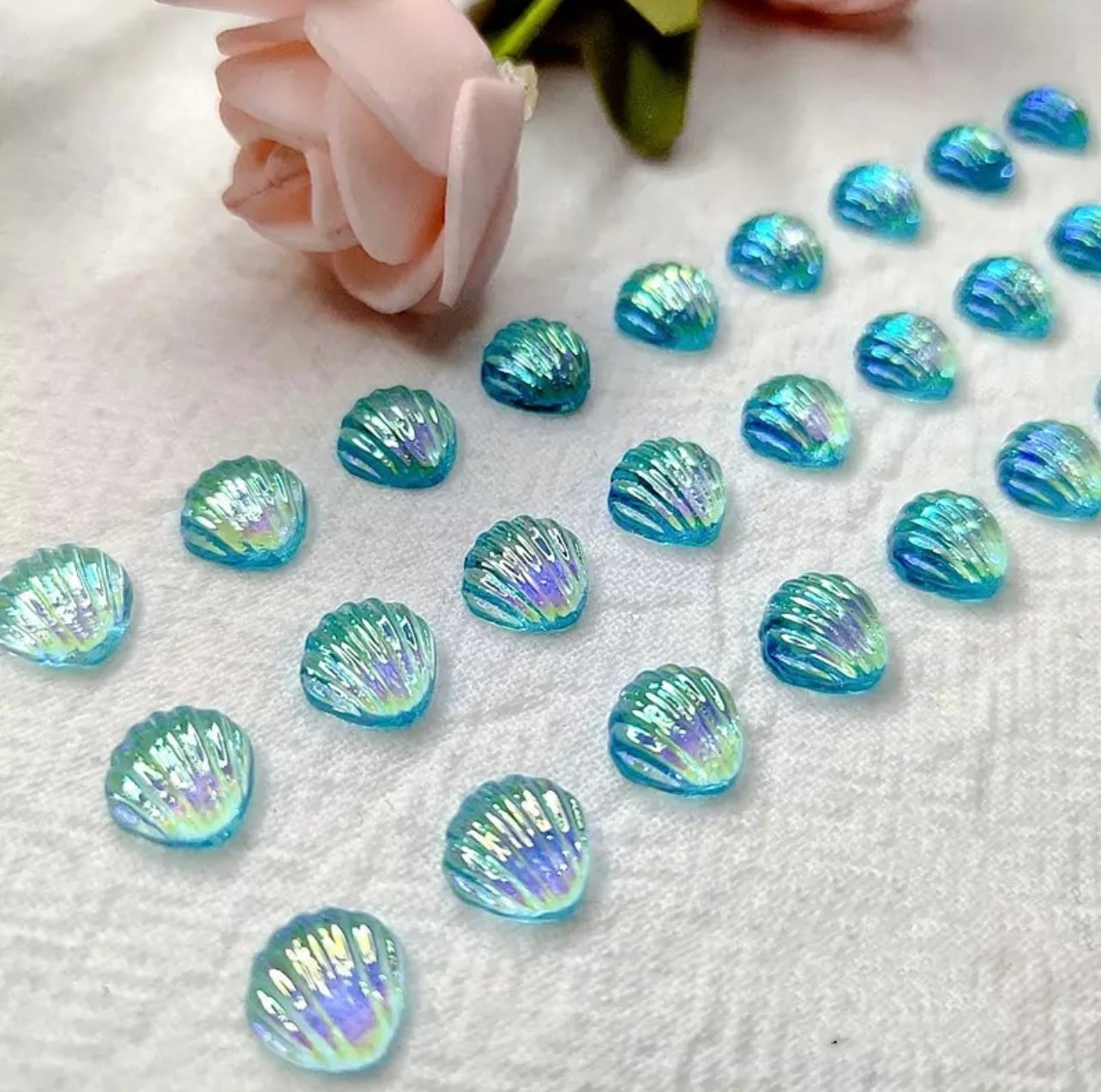 Aurora Seashells